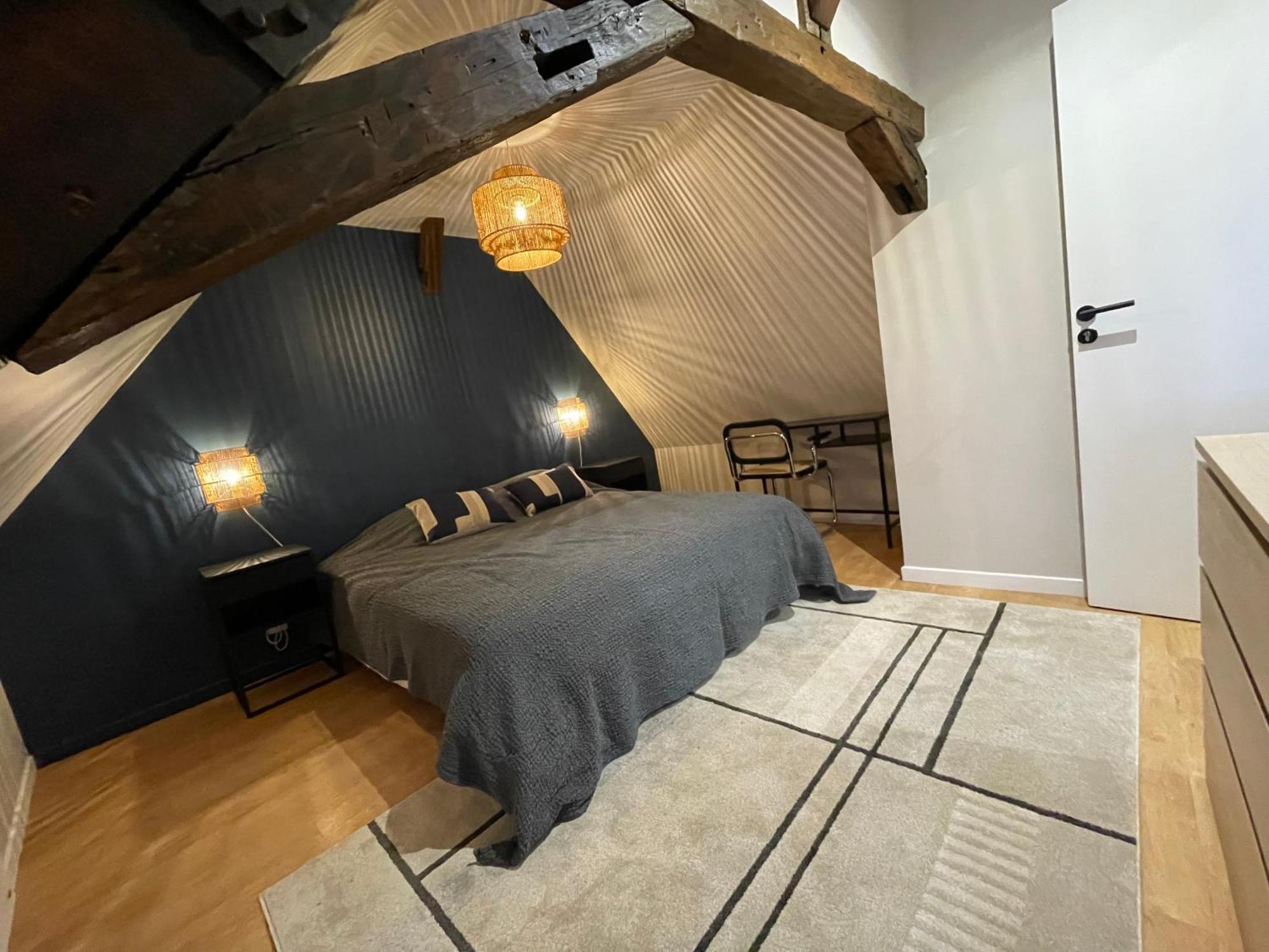 Le Petit Chateau Du Docteur Cambournac Bourges Ngoại thất bức ảnh